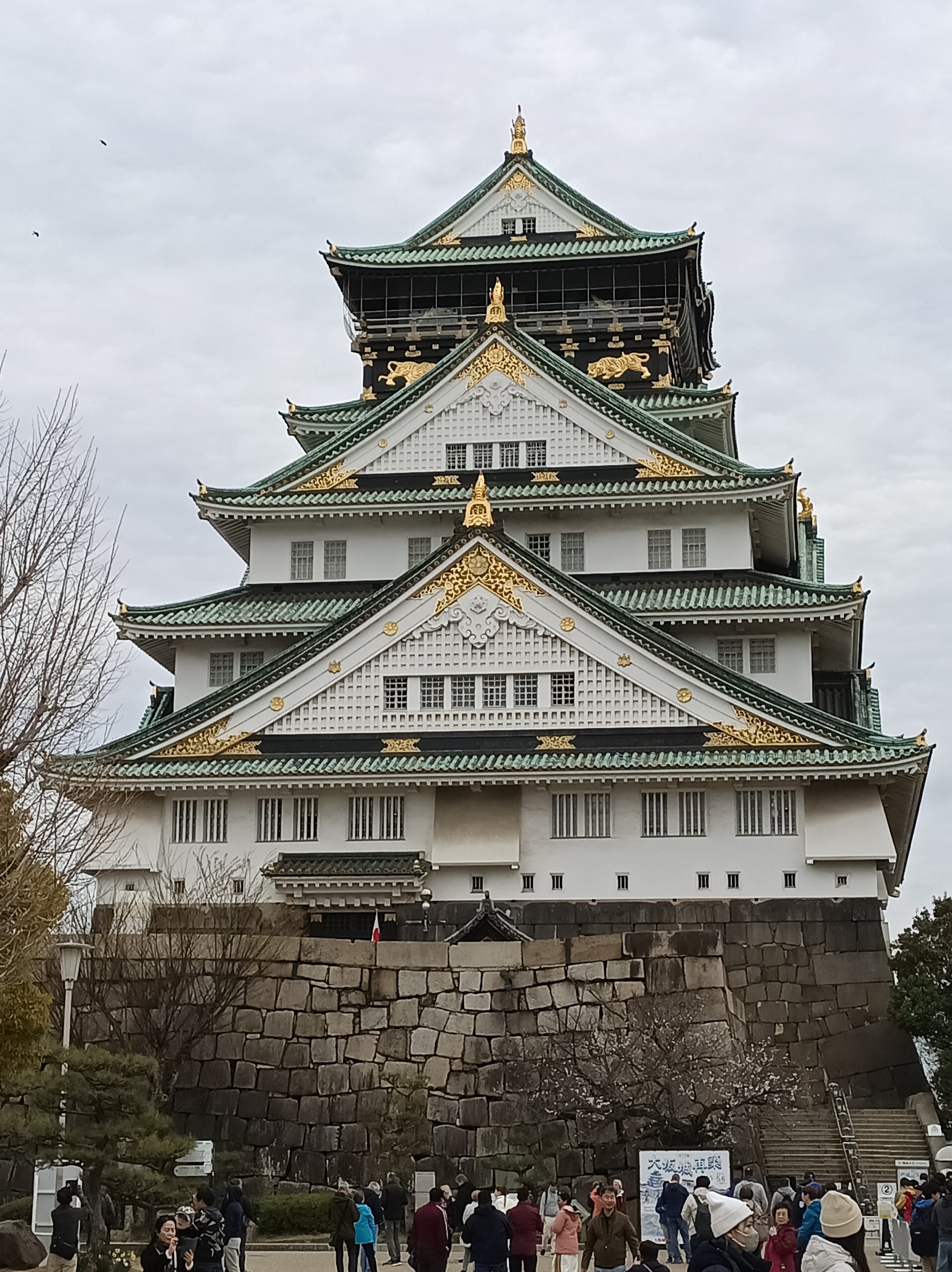 img 20250329 085519 170